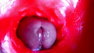 Extreme close-up ASMR head inside wet pussy